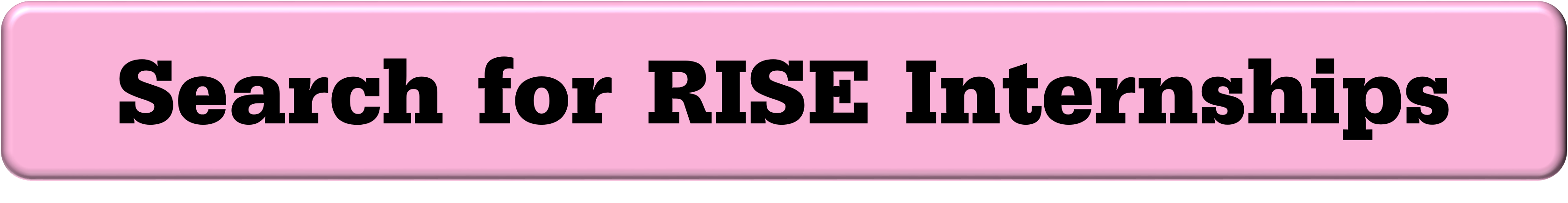 Search for RISE Internships